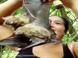 شکار و خوردن خفاش توسط زن چینی