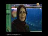 برنامه نردبان شبکه مستند - کلیپ دنیای زیر آب جزیره کیش - کاری از محمدرضا نادری