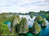 ویتنام : زیباترین مناظر طبیعی