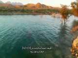 فرصت های شغلی در زمینه طبیعت