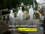 چه کسانی فوت شدگان بر اثر ویروس کرونا را در ایران غسل می دهند ؟!