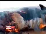 آتش زدن لاشه نهنگ غول پیکر در ساحل لیلتین 