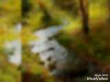 دکلمه اب اثر سهراب سپهری با صدای:حسن ذکراباد(کامل)