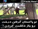 تو پاکستان گرفتن درخت رو بازداشت کردن!
