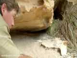 ترسناکترین های استیو ایروین Ten Deadliest Snakes In The World With Steve Irwin