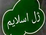 ساختن اسلایم خودم