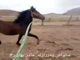 تغییر مفهوم بدون تغییر عنوان