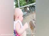بچه های خنده دار با حیوانات دیدار می کنند - فیلم در فضای باز کودک