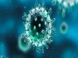 ویروس کرونا: کامل ترین اطلاعات درباره این ویروس!!! 