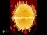 قالب Corona Virus (ساخت آنلاین و اتوماتیک)