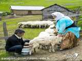 سفر به مناطق مختلف ایران