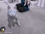 ربات هوشمند گربه مانند مارس کت (Mars Cat)