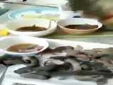 فیلم چندش آور دیگری از خوردن موش زنده در رستوران چینی