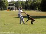 تربیت سگ ها بدون اعمال خشونت بخش 1 قسمت 2