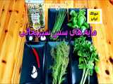 سس سبزیجاتی از آشپزخانه خوراک ایرانی -- سـاقـه سبزیجات پژمرده را دور نریزید سس