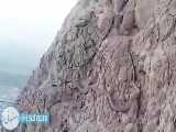 فیلمی از مشاهده شدن مار عظیم چند متری در کوه صفه اصفهان