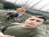 تفریح سواری با اسب