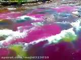 رودخانه زیبای کانو کریستالس یا رودخانه رنگین کمانی در کلمبیا