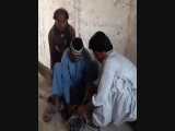 نجات تمساح گاندو در سیستان و بلوچستان 