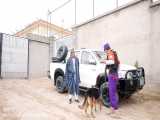 طنز بسیار خنده دار افغانی جوک بوکردن سگ بمب یاب مقامات | هدیه کانال عیدالزهرا HD