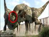 10 چیز ترسناک که هرگز از دایناسورها نمی دانید!