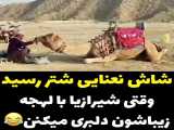 شاش نعنایی شتر رسید با لهجه شیرازی!!!