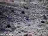 مشاهده خانواده 5 نفره یوزپلنگ ایرانی در ذخيرگاه زيست كره توران در استان سمنان