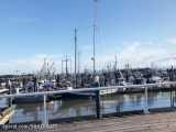 ونکوور-دهکده ماهیگیری Steveston