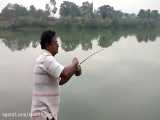 ماهیگیری کپور با قلاب