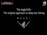 نخستین تصاویر از ماهی عجیب و ترسناک Anglerfish