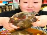خوردن لاکپشت واییییی