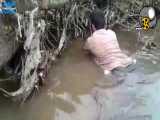 ماهیگیری با دست در یکی از روستا های گیلان