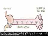 دیابت چه علائمی داره