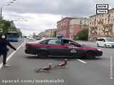 همکاری پلیس مسکو برای عبور اردک‌ها از خیابان