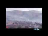 آتش سوزی در جنگل های فارس