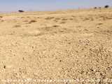 سخل گزین اولین سد خاکی جهان در اقلید فارس قسمت اخر