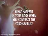چه اتفاقی می افتد اگر به کروناویروس آلوده شوید؟