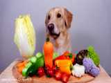 میوه و سبزیجات خوردن جالب سگ!