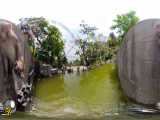 ویدیو 360 درجه از میمون های مقدس در نپال