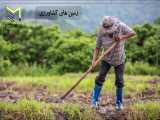 راهنمای خرید هوشمندانه زمین در شمال 