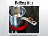 Boiling frog 