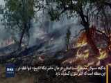 ادامه آتش‌سوزی‌ها در جنگل‌های «خائیز» 