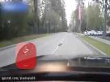 ویدیو حیرت انگیز کمک کلاغ به جوجه تیغی برای عبور از جاده