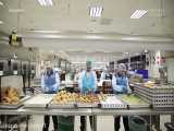 هواپیمایی امارات چگونه روزی 225هزار غذا آماده می کند؟