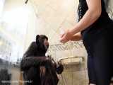 حمام کردن و مسواک زدن شامپانزه خانگی!