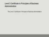 Principles of business level 3 