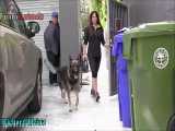 Dogs Protecting Their Owners - Dogs that are better than guns! [ Dog Training