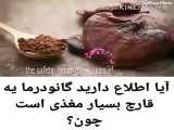 فروش گانودرما ۰۹۳۶۹۷۱۲۸۵۷