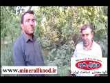 افزایش باردهی درختان باغ گردو     minerallkood.ir