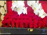 سفارش و خرید  باکس گل رز سرخ با ارکیده سفید Romantic